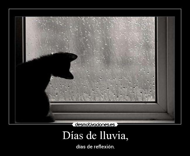 Días de lluvia, -