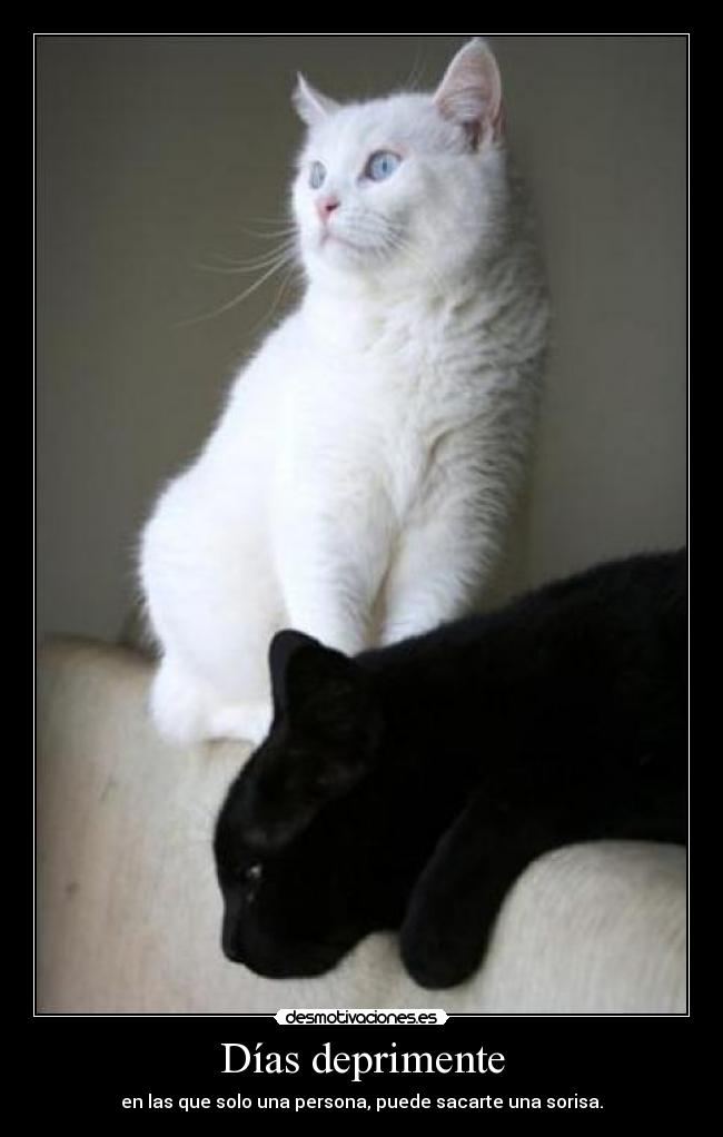 Días deprimente - en las que solo una persona, puede sacarte una sorisa.