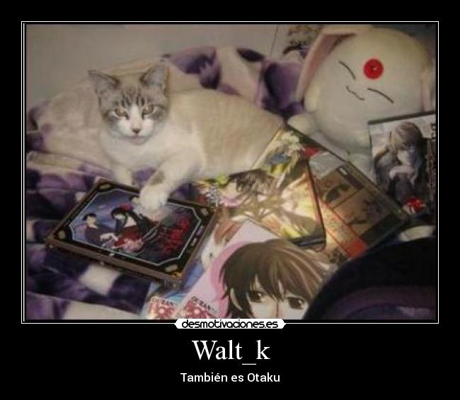 carteles otaku waltk desmotivaciones