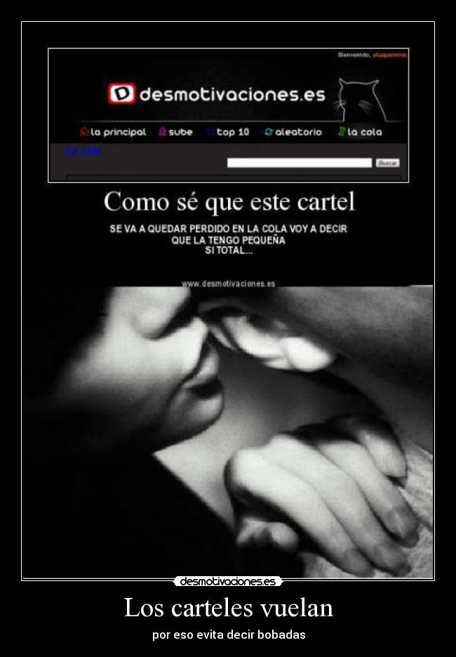 Los carteles vuelan - 