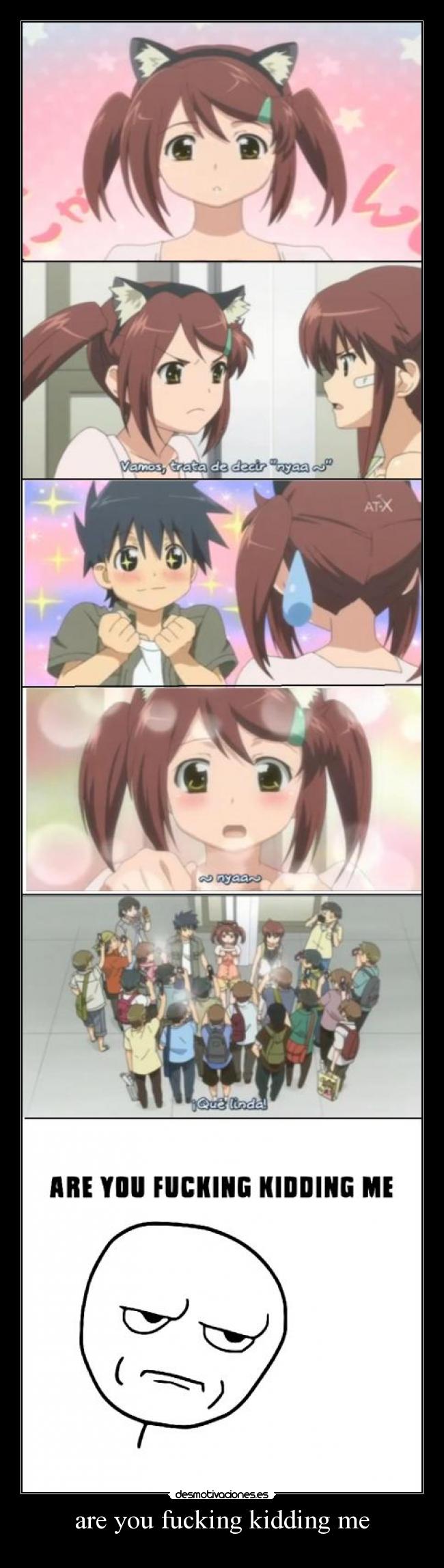 are you fucking kidding me -