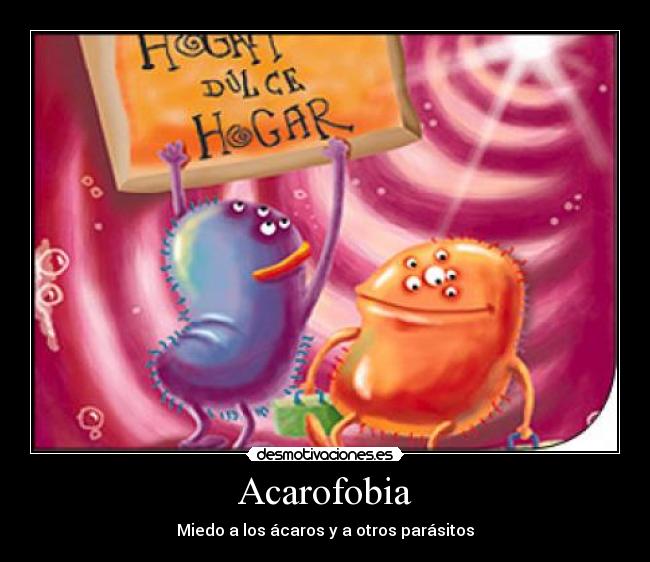 Acarofobia - Miedo a los ácaros y a otros parásitos