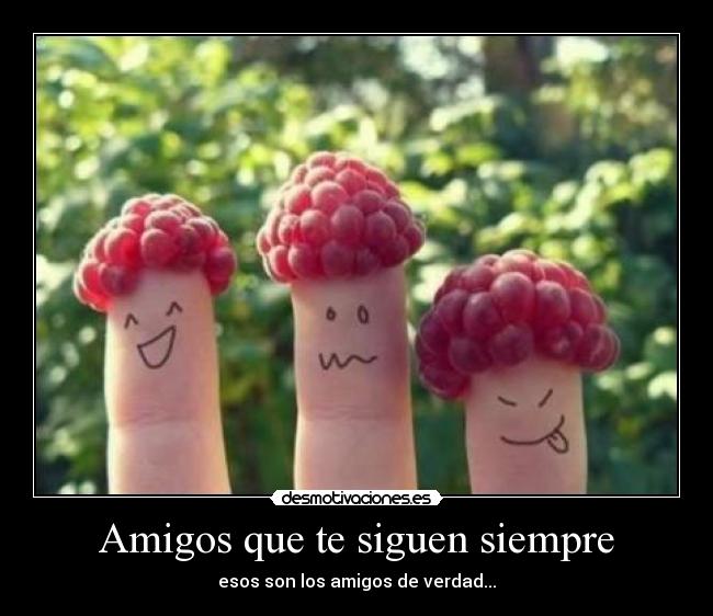 Amigos que te siguen siempre - 