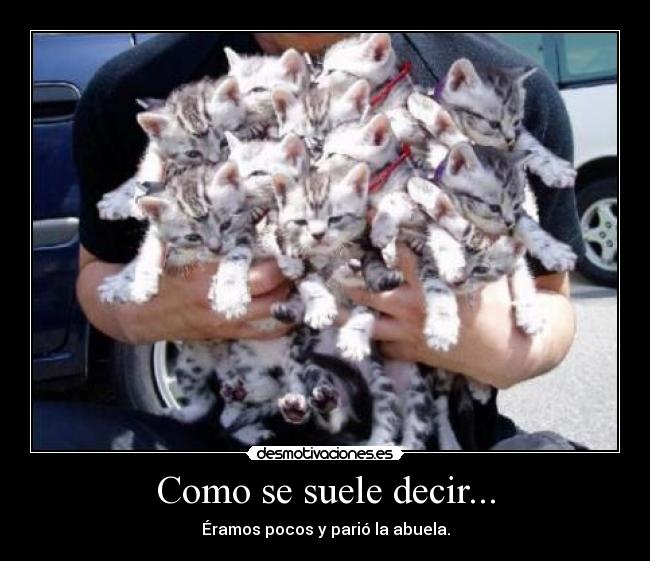 Como se suele decir... - Éramos pocos y parió la abuela.