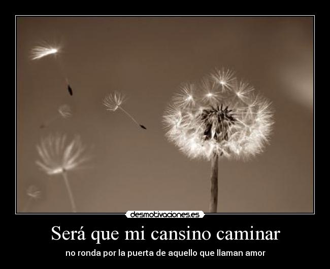 Será que mi cansino caminar -