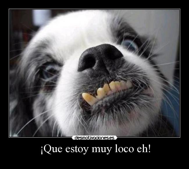¡Que estoy muy loco eh! - 