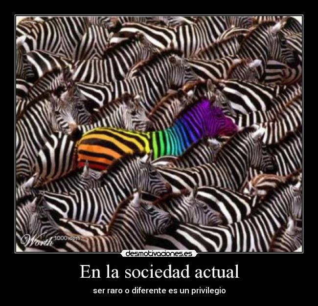 En la sociedad actual - 