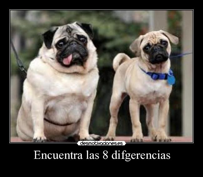 Encuentra las 8 difgerencias - 