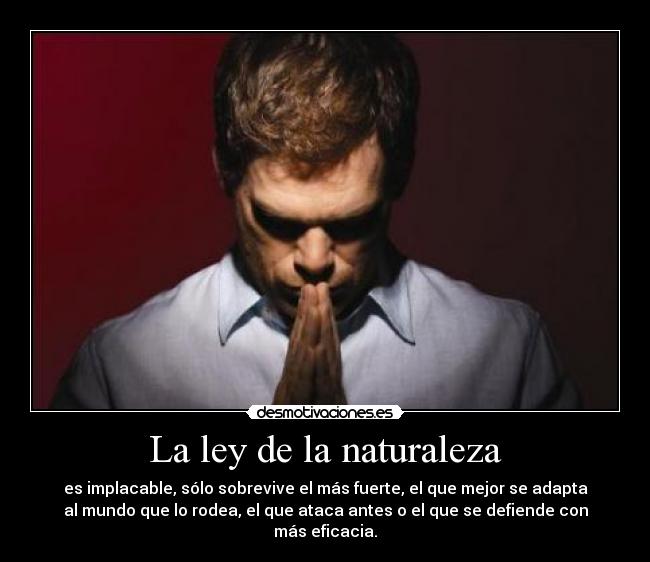 La ley de la naturaleza - es implacable, sólo sobrevive el más fuerte, el que mejor se adapta
al mundo que lo rodea, el que ataca antes o el que se defiende con
más eficacia.