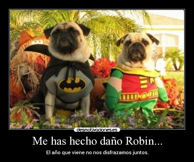 Me has hecho daño Robin... -