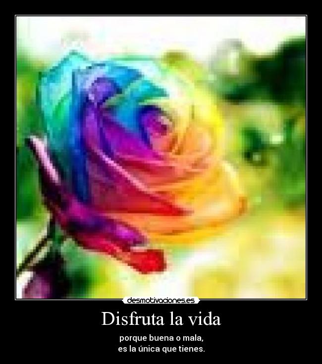 Disfruta la vida - porque buena o mala,
es la única que tienes.