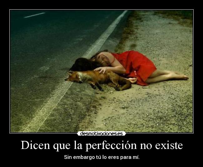 Dicen que la perfección no existe - Sin embargo tú lo eres para mí.