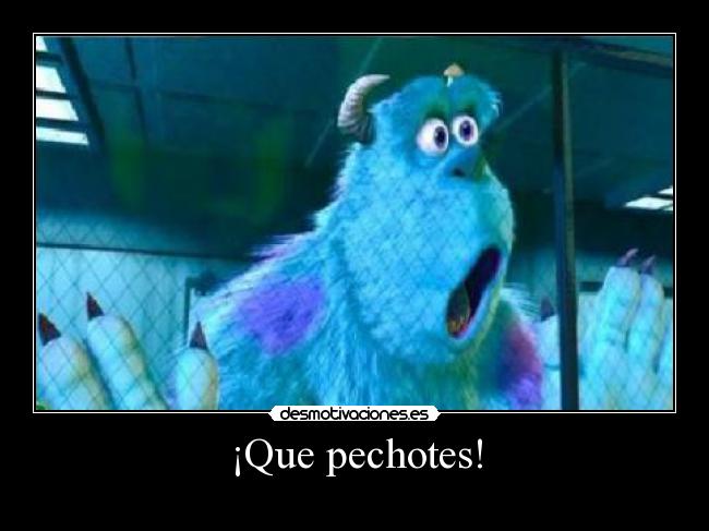 ¡Que pechotes! - 