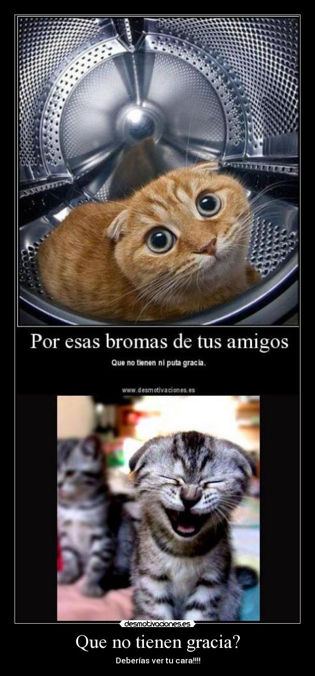 Que no tienen gracia? -