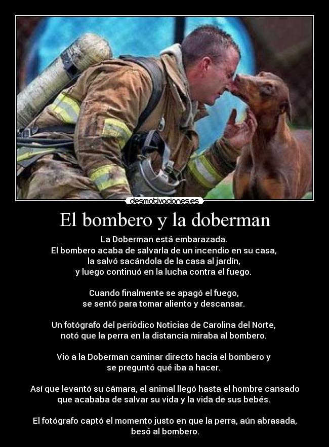 El bombero y la doberman -