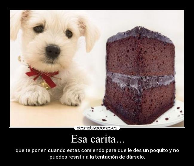 Esa carita... - que te ponen cuando estas comiendo para que le des un poquito y no
puedes resistir a la tentación de dárselo.