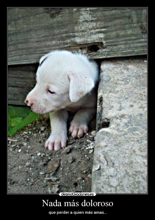 Nada más doloroso - 