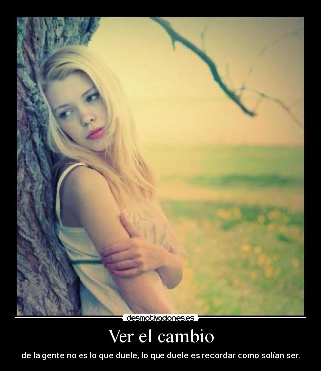 Ver el cambio -
