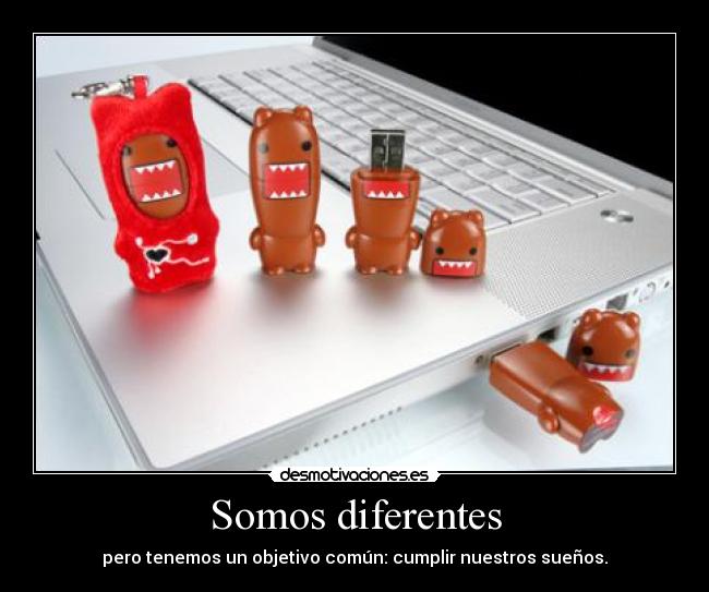 Somos diferentes - pero tenemos un objetivo común: cumplir nuestros sueños.