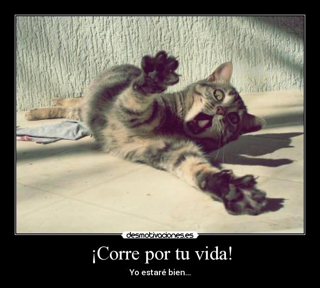 ¡Corre por tu vida! - Yo estaré bien...