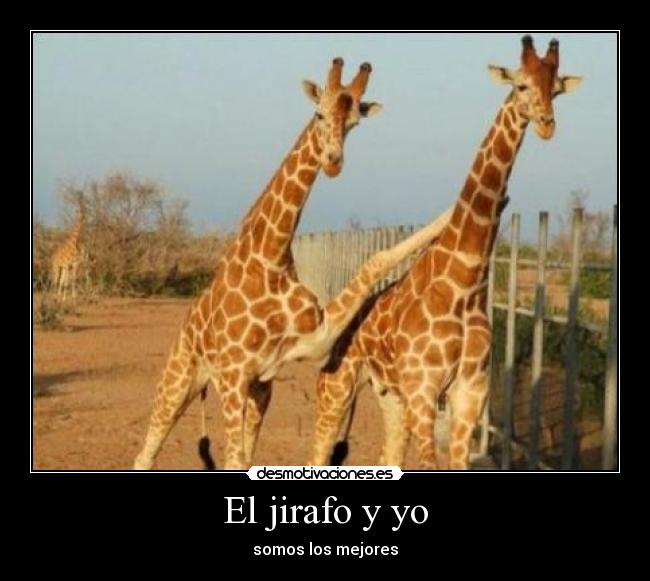El jirafo y yo - 