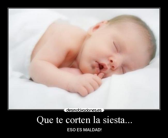 carteles que corten siesta desmotivaciones