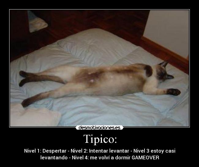 Tipico: - Nivel 1: Despertar - Nivel 2: Intentar levantar - Nivel 3 estoy casi
levantando - Nivel 4: me volví a dormir GAMEOVER