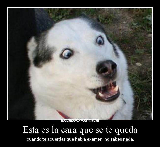 Esta es la cara que se te queda -