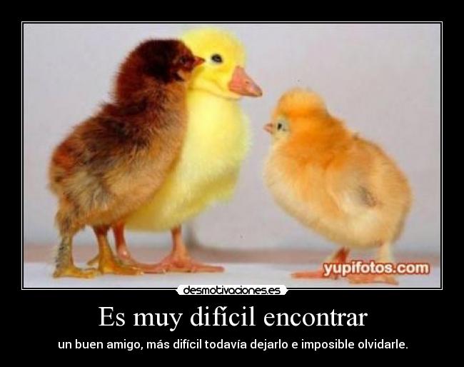 Es muy difícil encontrar - un buen amigo, más difícil todavía dejarlo e imposible olvidarle.