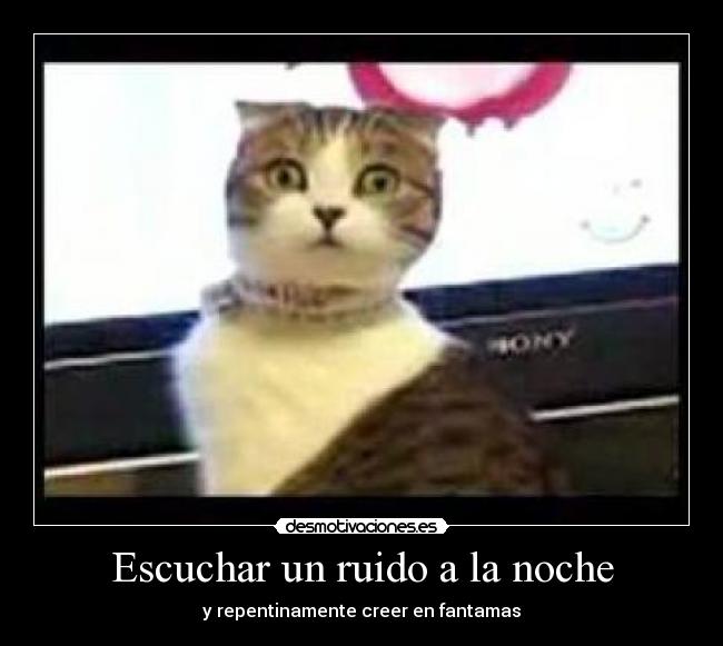 Escuchar un ruido a la noche -