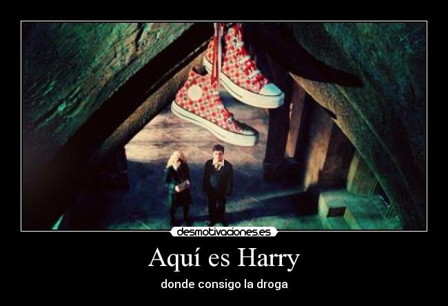 Aquí es Harry - donde consigo la droga