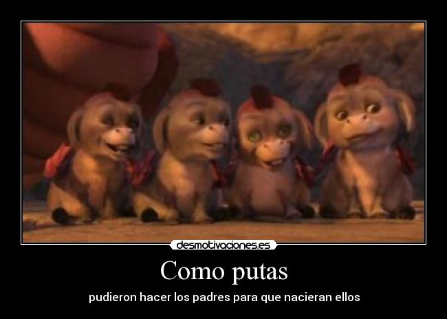 Como putas - pudieron hacer los padres para que nacieran ellos