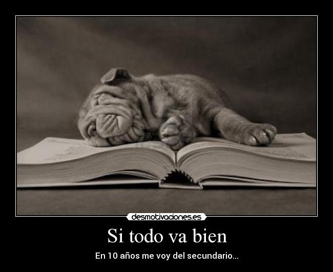 Si todo va bien - En 10 años me voy del secundario...