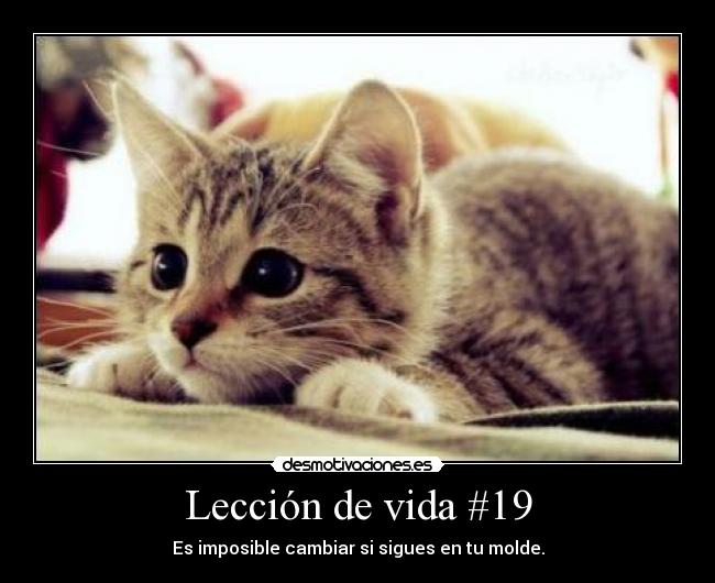 Lección de vida #19 - Es imposible cambiar si sigues en tu molde.