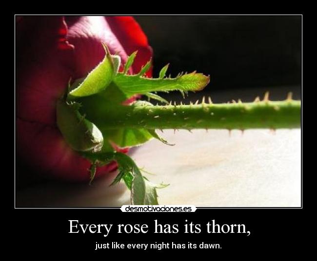 carteles hay rosa sin espinas desmotivaciones