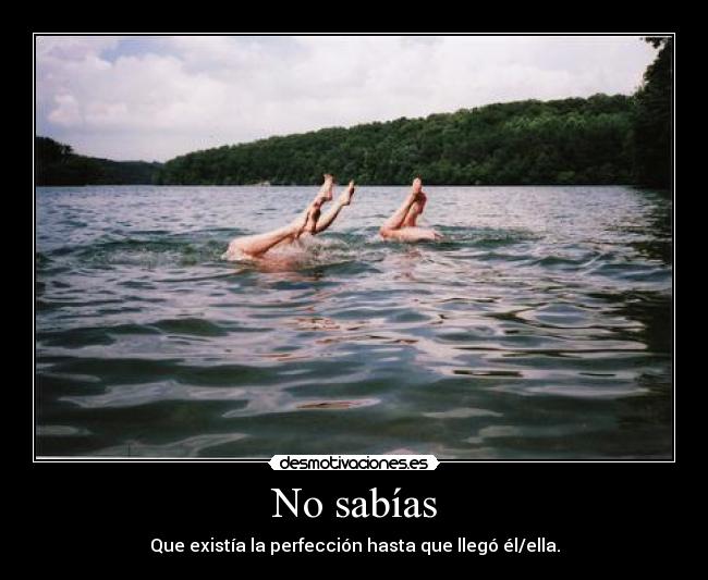 No sabías - Que existía la perfección hasta que llegó él/ella.