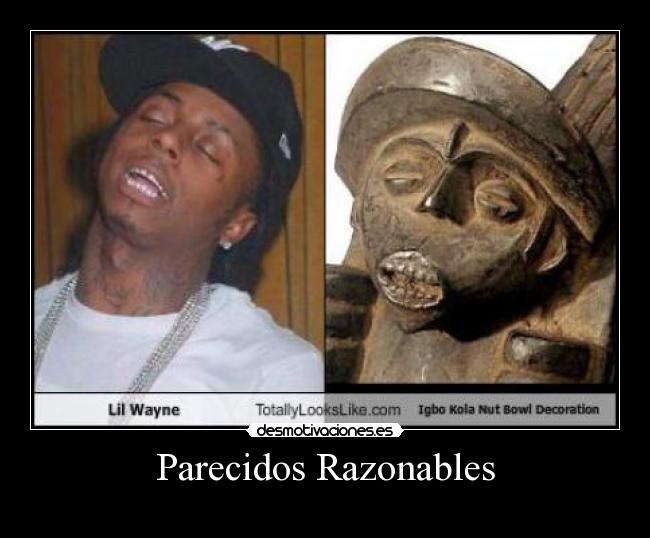 Parecidos Razonables -
