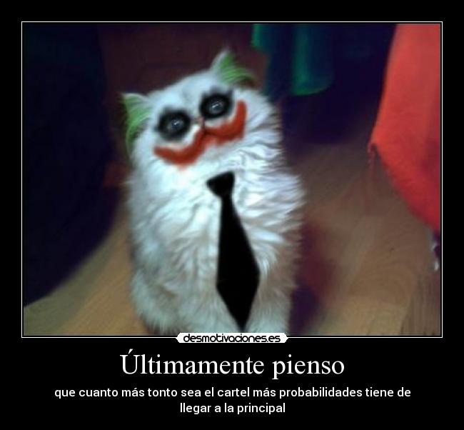 Últimamente pienso -