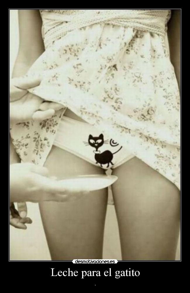 Leche para el gatito - .