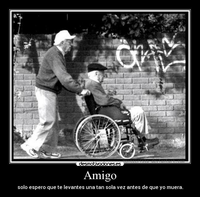 Amigo -