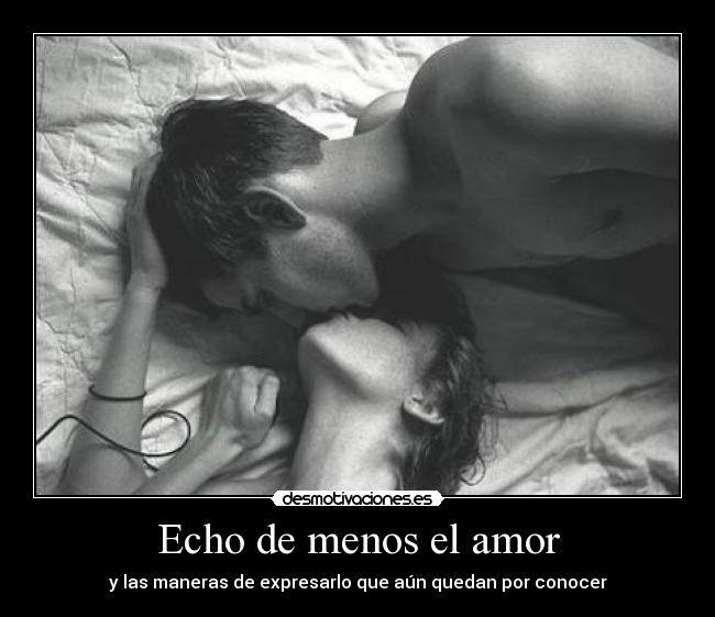 Echo de menos el amor - 