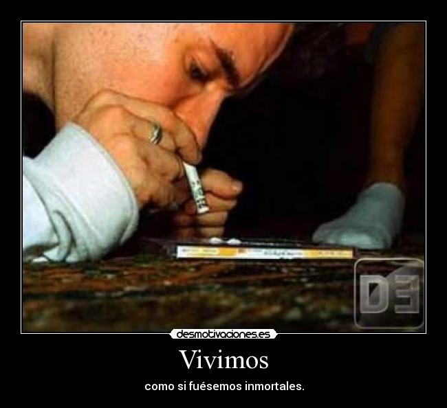 Vivimos -