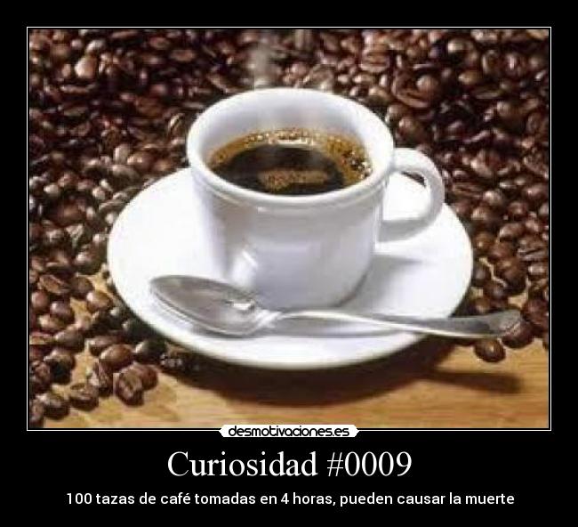Curiosidad #0009 -