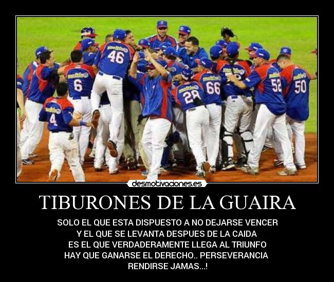 TIBURONES DE LA GUAIRA - SOLO EL QUE ESTA DISPUESTO A NO DEJARSE VENCER
Y EL QUE SE LEVANTA DESPUES DE LA CAIDA
ES EL QUE VERDADERAMENTE LLEGA AL TRIUNFO
HAY QUE GANARSE EL DERECHO.. PERSEVERANCIA 
RENDIRSE JAMAS...!
