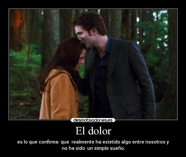 El dolor - es lo que confirma que realmente ha existido algo entre nosotros y
no ha sido un simple sueño.