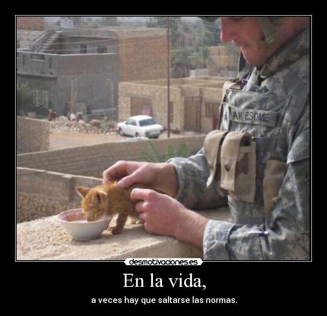 En la vida, - a veces hay que saltarse las normas.
