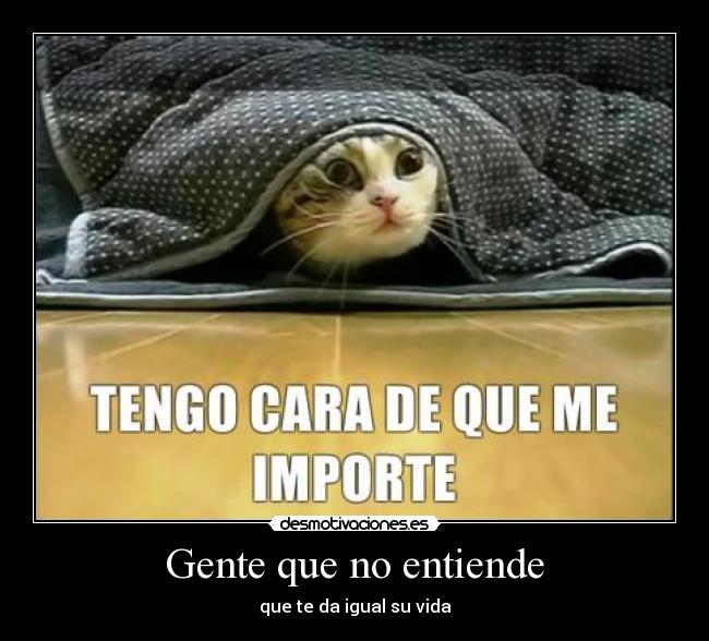 Gente que no entiende -