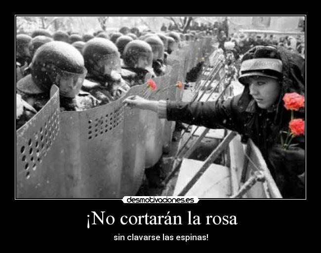 ¡No cortarán la rosa - sin clavarse las espinas!