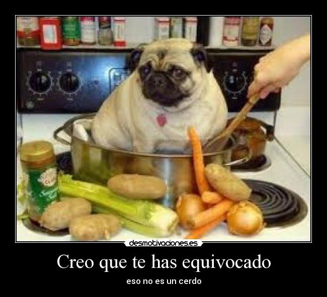 Creo que te has equivocado -