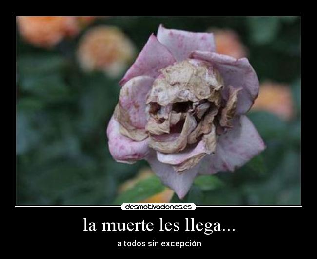 la muerte les llega... -